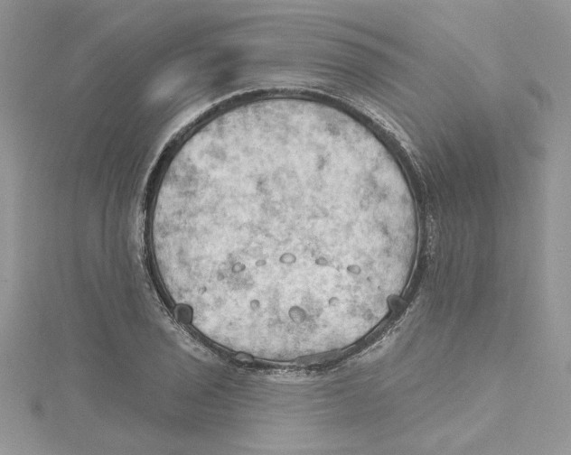 X0000114631029200911171005