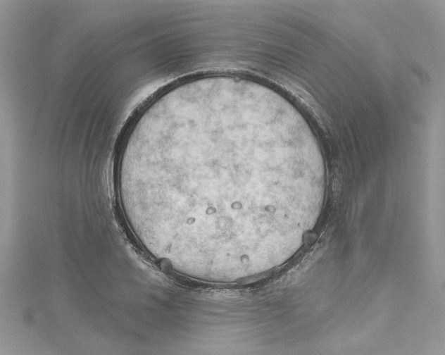 X0000114631030200911171005