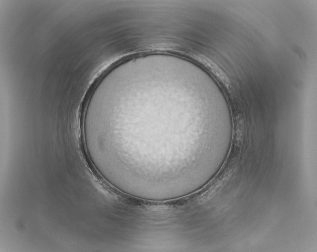 X0000114631031200911171005