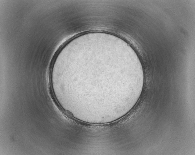 X0000114631032200911171005