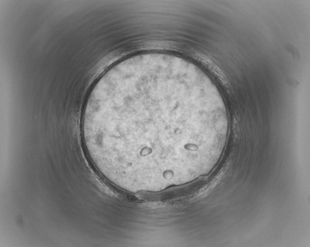 X0000114631033200911171005