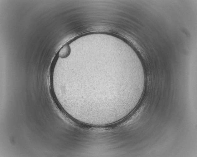 X0000114631034200911171005