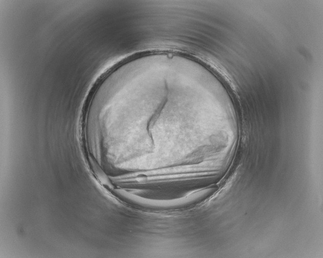 X0000114631037200911171005