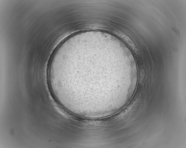 X0000114631039200911171005