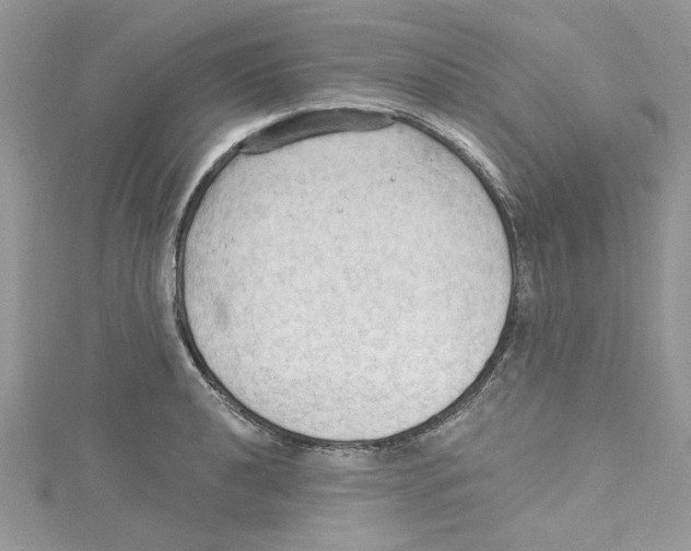 X0000114631040200911171005