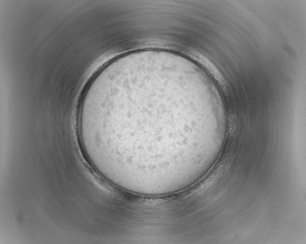 X0000114631043200911171005