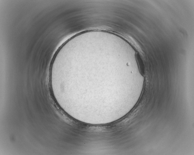 X0000114631044200911171005