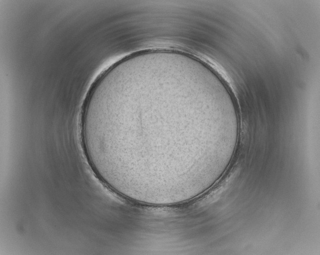 X0000114631045200911171005