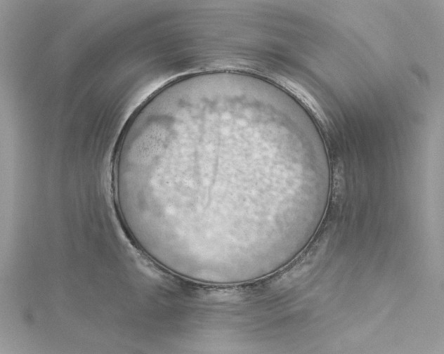 X0000114631047200911171005