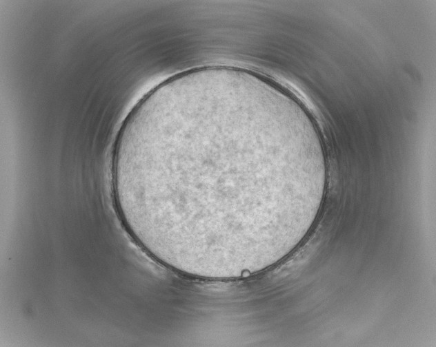 X0000114631048200911171005