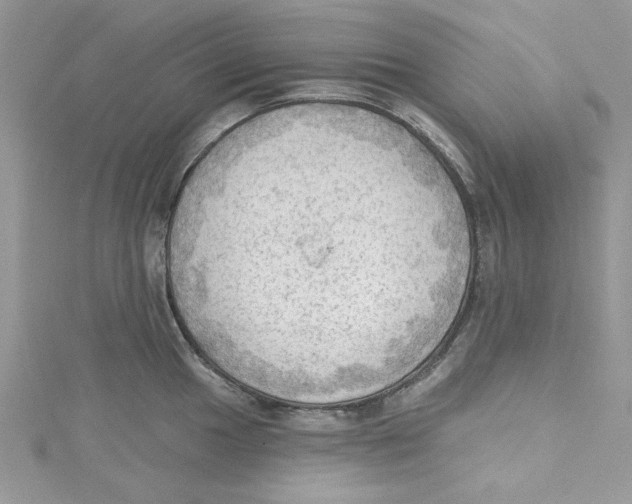 X0000114631049200911171005