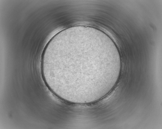 X0000114631050200911171005