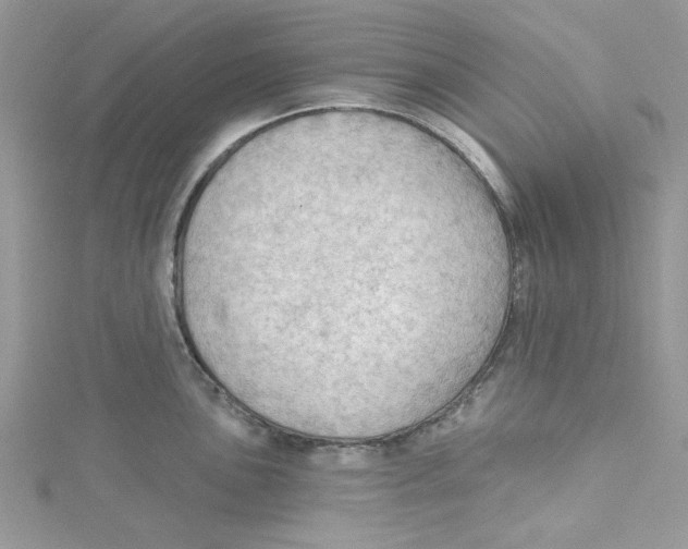 X0000114631051200911171005