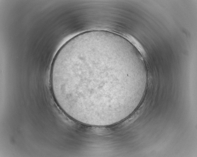 X0000114631052200911171006