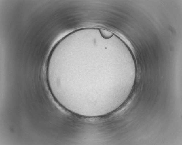 X0000114631053200911171006