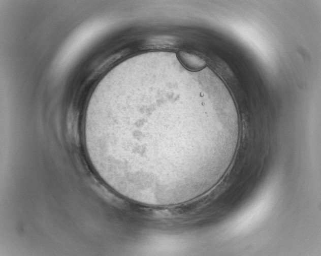 X0000114631054200911171006