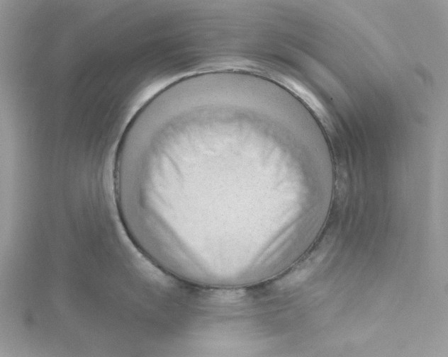 X0000114631055200911171006