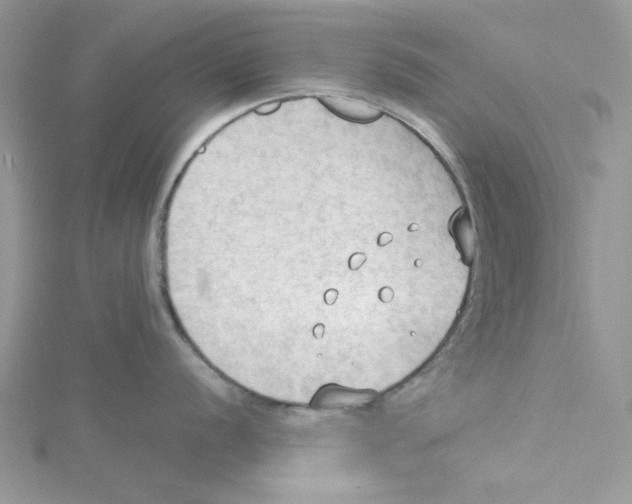 X0000114631056200911171006