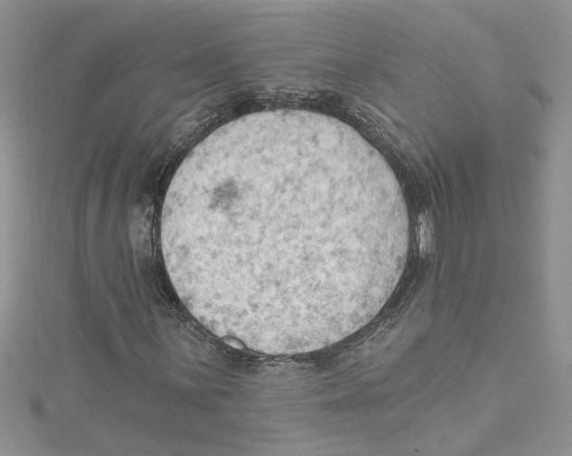 X0000114631059200911171005