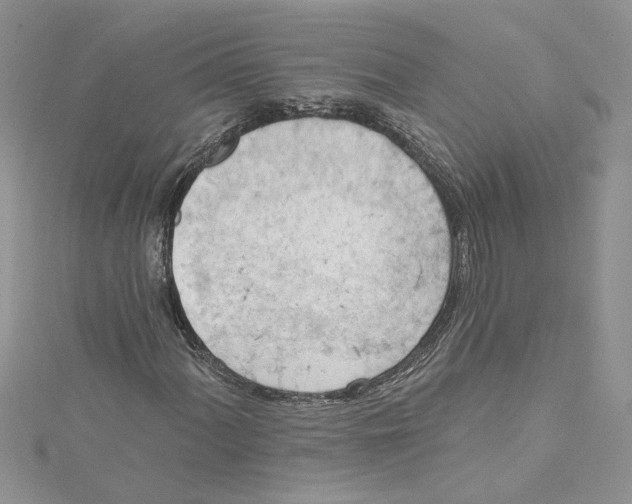 X0000114631060200911171005