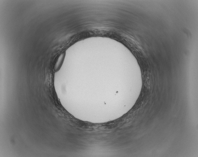 X0000114631061200911171005