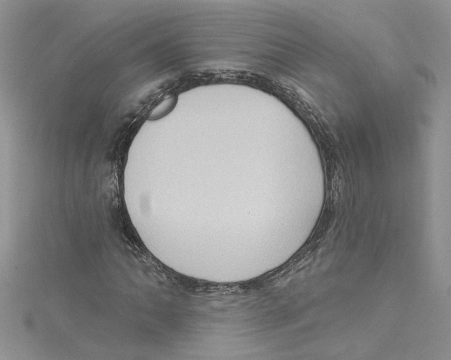 X0000114631062200911171005