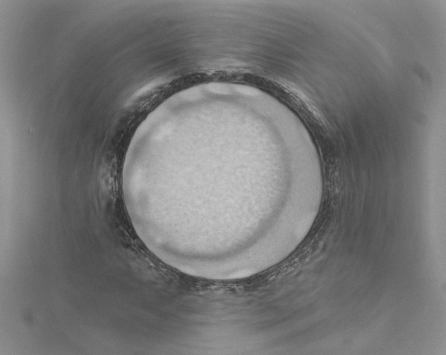 X0000114631063200911171005