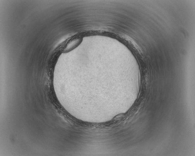 X0000114631064200911171005