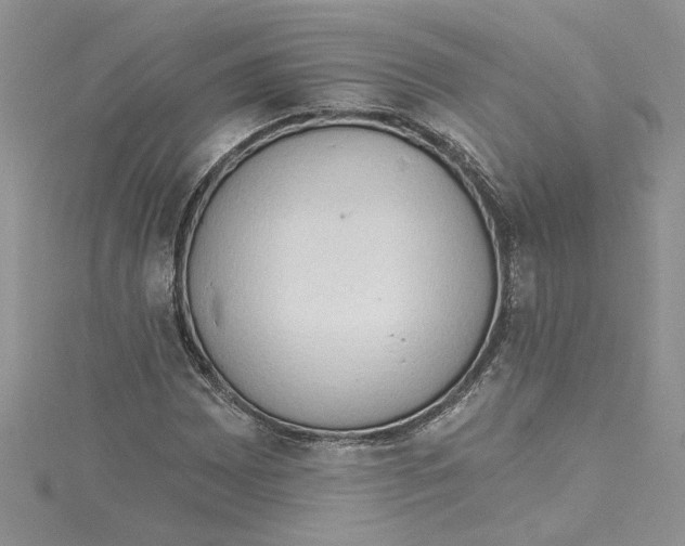 X0000114631065200911171005