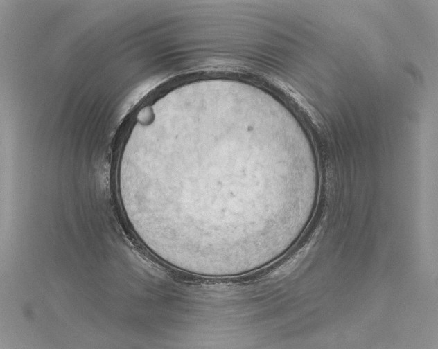 X0000114631066200911171005