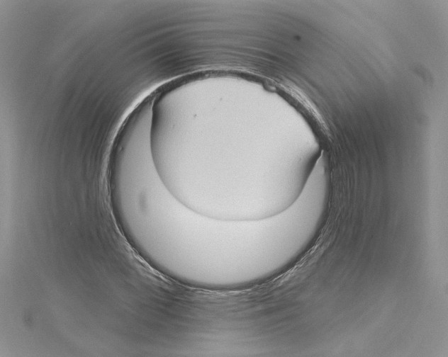 X0000114631068200911171005