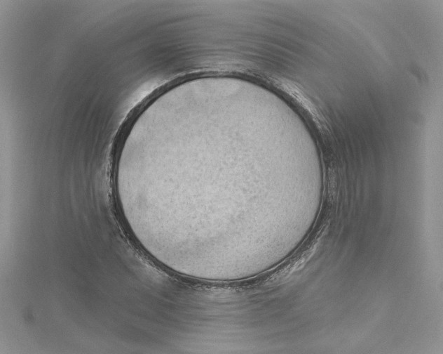 X0000114631071200911171005