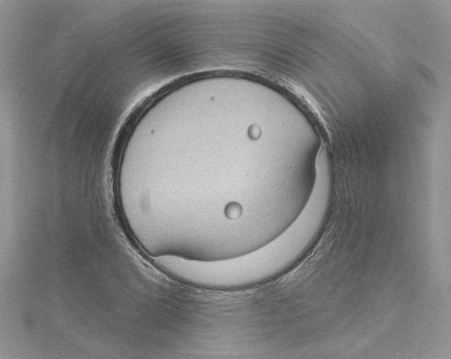 X0000114631072200911171005