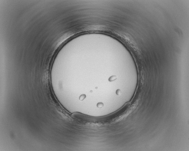 X0000114631073200911171005