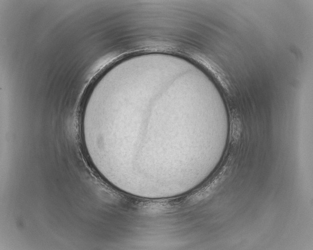 X0000114631074200911171005