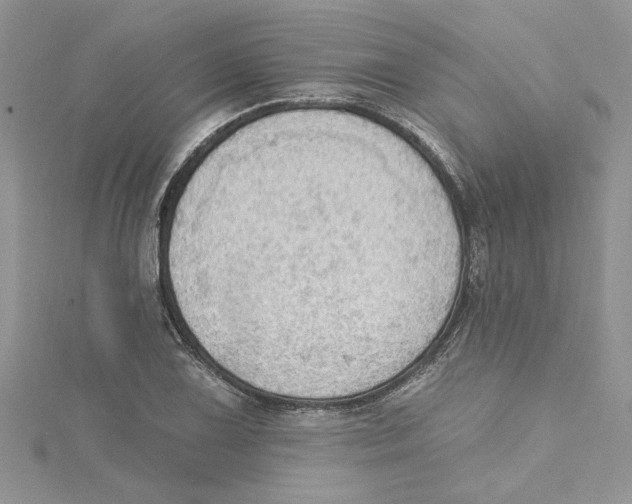 X0000114631075200911171005