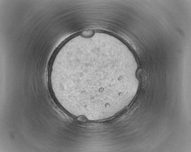 X0000114631076200911171005