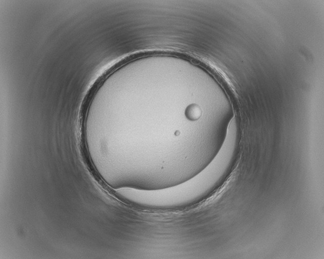 X0000114631077200911171005