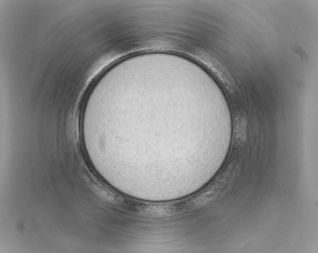 X0000114631078200911171005