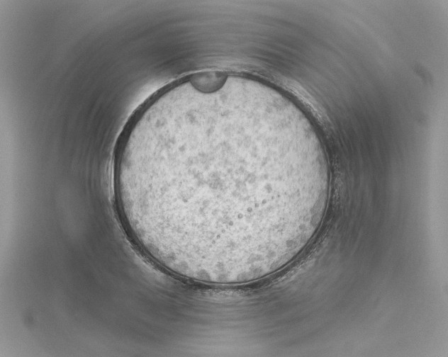 X0000114631079200911171005