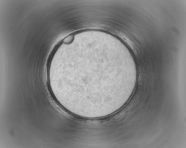 X0000114631080200911171004