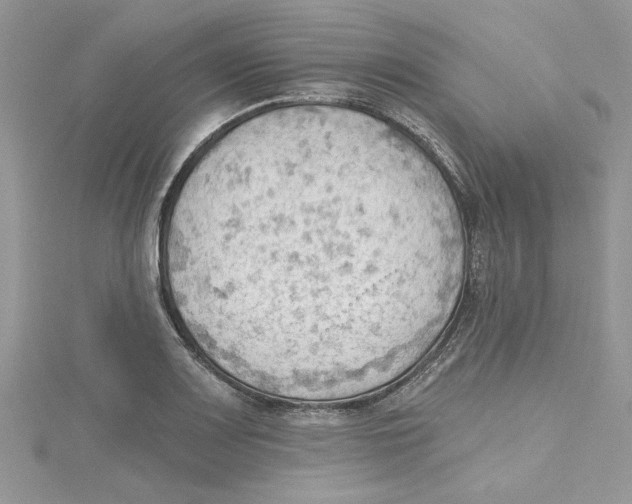 X0000114631083200911171004