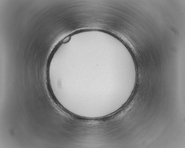 X0000114631085200911171004