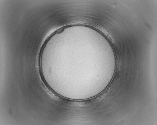 X0000114631086200911171004