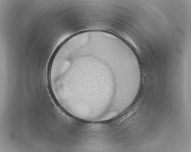 X0000114631087200911171004