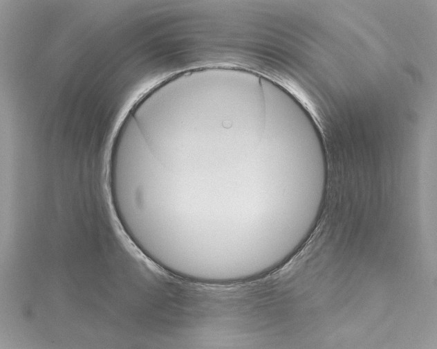 X0000114631088200911171004