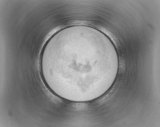 X0000114631090200911171004