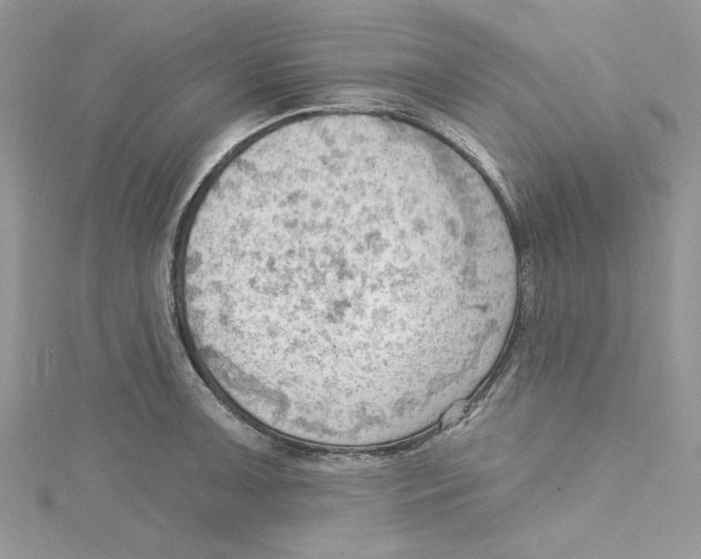 X0000114631091200911171004