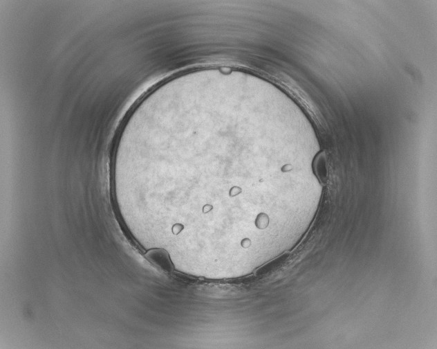 X0000114631092200911171004