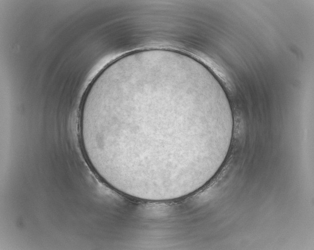 X0000114631094200911171004